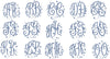 CHARLOTTE MONO FONT