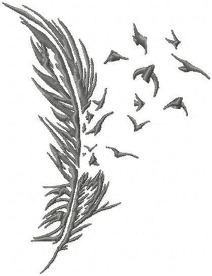 Feathers and Birds